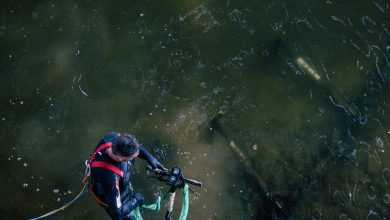 Photo de Les basses eaux mettent en lumière les déchets : l'association reçoit 150 scooters électriques du Rhin – et bien plus encore