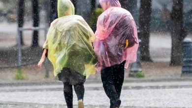 Photo de Concert « Die Ärzte » annulé: orages, grêle, pluie – des tempêtes se déplacent sur l'Allemagne