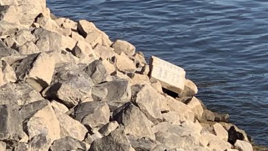 Photo de Marée basse à Düsseldorf : un homme découvre une pierre tombale dans le Rhin – « Comme s'il manquait une partie de nous »